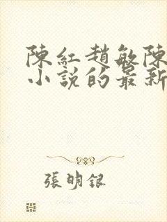 陈红赵敏陈法蓉小说的最新章节内容封面