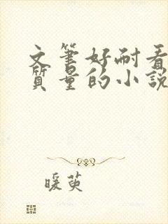 文笔好耐看的高质量的小说言情