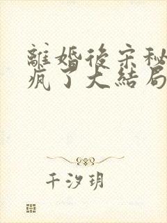 离婚后宋秘她杀疯了大结局