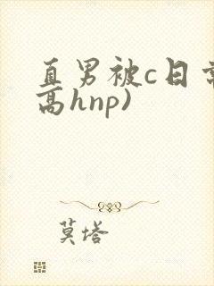 直男被c日常(高hnp)
