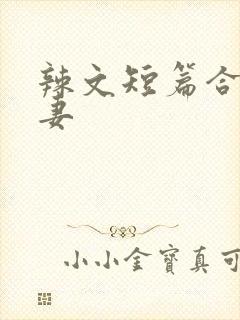 辣文短篇合集夫妻