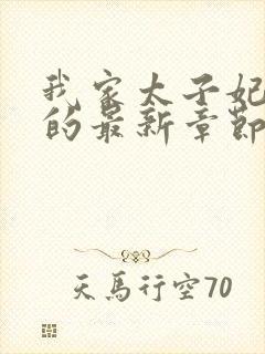 我家太子妃超凶的最新章节目录