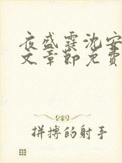 夜盛霆沈安然全文章节免费阅读