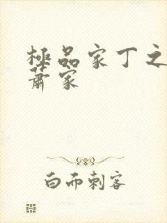 极品家丁之花开萧家