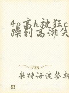 4p高h被狂c躁到高潮失禁封面