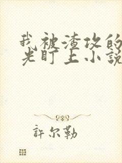 我被渣攻的白月光盯上小说免费阅读笔趣阁