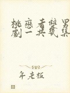 桃恋者双男主泰剧一共几集