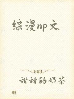 综漫np文