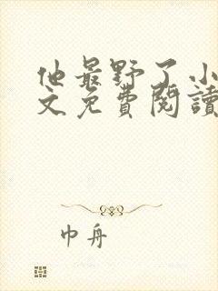 他最野了小说全文免费阅读无弹窗封面