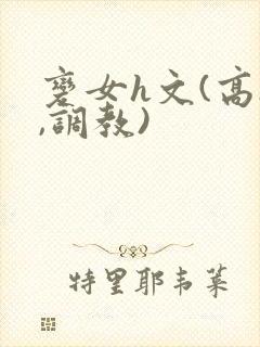 变女h文(高h,调教)