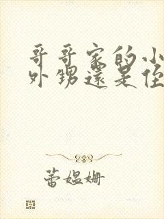 哥哥家的小孩是外甥还是侄子