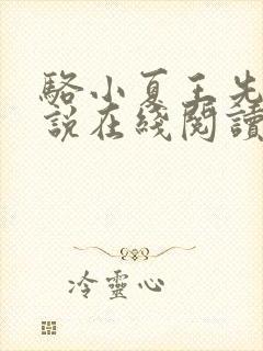 骆小夏王先生小说在线阅读封面