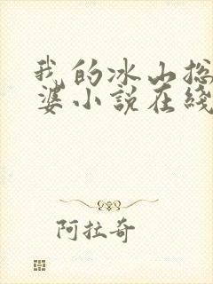 我的冰山总裁老婆小说在线阅读