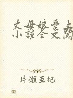 丈母娘爱上女婿小说全文阅读封面