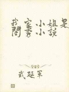 我家小姐是旧时闺秀小说