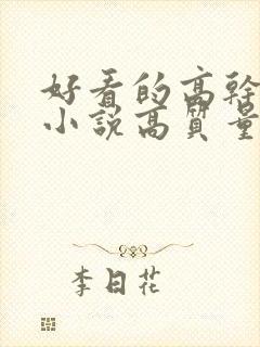 好看的高干言情小说高质量文笔好封面