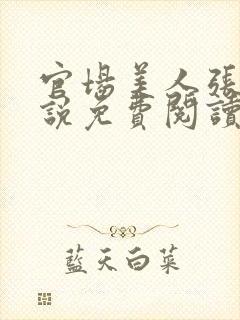 官场美人张梅小说免费阅读最新章节