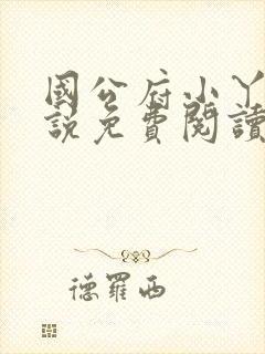 国公府小丫鬟小说免费阅读