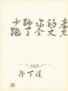 少帅你的老婆又跑了全文免费读