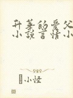 升华的爱父女恋小说言情小说封面