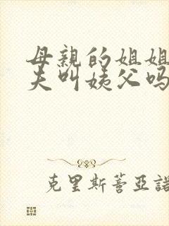 母亲的姐姐的丈夫叫姨父吗封面