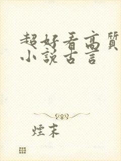 超好看高质量的小说古言