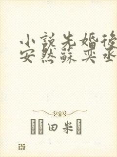 小说先婚后爱顾安然苏奕丞