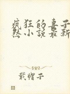 疯狂的妻子王惠然小说最新章节列表封面