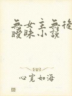 无女主无后宫无暧昧小说