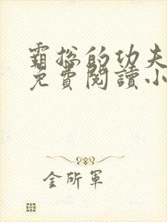 霸总的功夫女友免费阅读小说全文