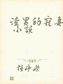 渣男的宠妻日常 小说