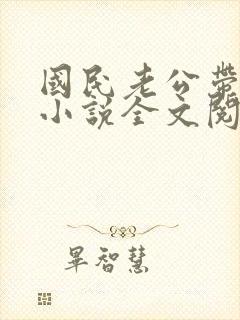 国民老公带回家小说全文阅读免费