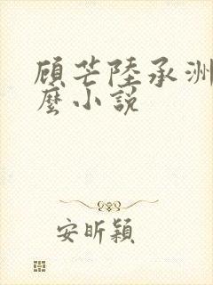 顾芒陆承洲是什么小说封面