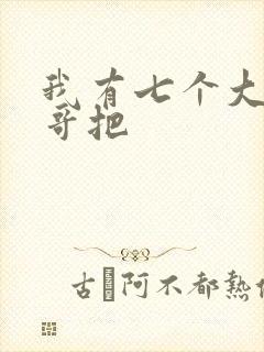 我有七个大佬哥哥把封面