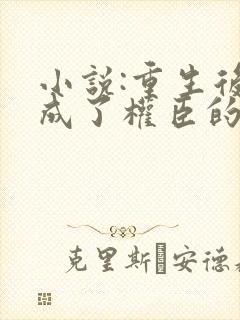 小说:重生后我成了权臣的掌中娇