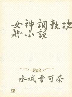 女神调教攻略手册小说