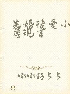 先婚后爱小说推荐现言