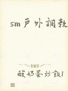 sm户外调教文封面