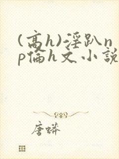 (高h)淫趴np伦h文小说