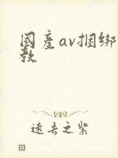 国产av捆绑调教封面