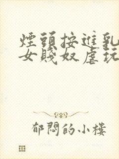 烟头按进乳头m女贱奴虐玩训诫调教小说
