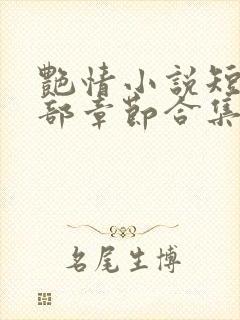 艳情小说短篇全部章节合集免费阅读封面