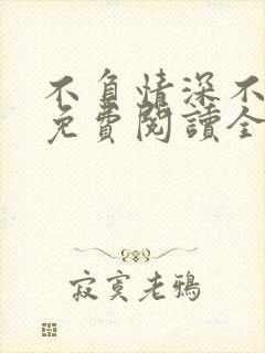 不负情深不负婚免费阅读全文封面