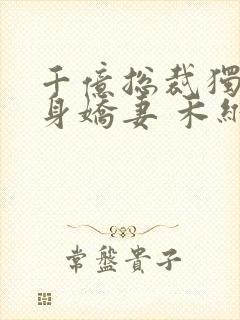 千亿总裁独宠替身娇妻 禾维