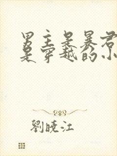 男主是暴君女主是穿越的小说