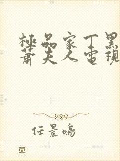 极品家丁黑昆仑萧夫人电视剧