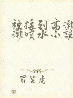 被揉到高潮失禁潮喷水小说