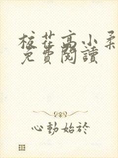 校花高小柔小说免费阅读