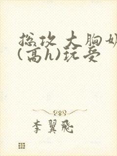 总攻 大胸奶汁(高h)玩受