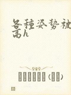 各种姿势被np高h